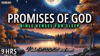 The Most Powerful Verses From the word of God  Bible reading  12 HRS [upl. by Tompkins]