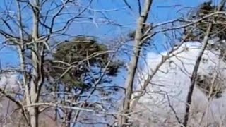 6070 mph wind gusts race through snapping trees like twigs [upl. by Timoteo]