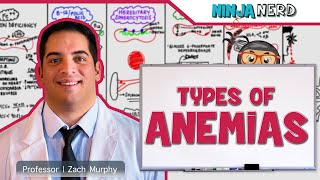 Hematology  Types of Anemias [upl. by Edrahs389]