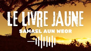 Le Livre Jaune  Livre Audio de Samael Aun Weor [upl. by Onitsirc]