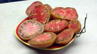 Dwarf Maralinga Tomato Plenty Slicing Tomatoes On A Small Plant [upl. by Ohl]