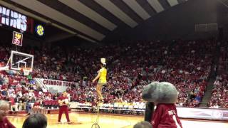 Incredible halftime show Alabama basketball game [upl. by Pahl]