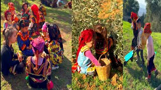 traditions kabylepar les enfants de la crèche saras magical World🔥🔥🔥❤️❤️❤️ [upl. by Nnel]