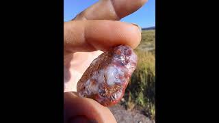 Cape Split Nova Scotia Agates 😊 [upl. by Derayne]