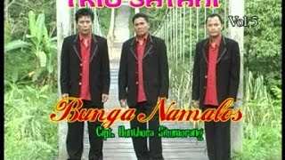 Trio Satahi  Bunga Namalos Official Music Video [upl. by Spike]