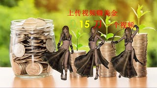 简单容易的多重被动收入 4 paidera 上传视频赚美金 [upl. by Nireil]