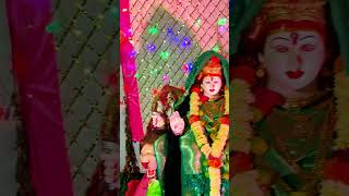 amba mazi chan आंबा माझी छान amba mazi chan dj ganpati songs dj rushi devi song halgi dj song [upl. by Sussman]