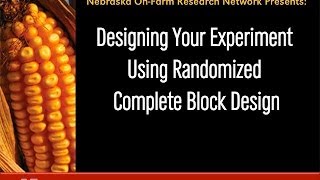 Designing Your Experiment Using Randomized Complete Block Design [upl. by Elleret]