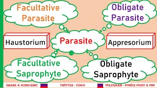 Obligate parasite Facultative parasite Obligate saprophyte Facultative saprophyteHaustoria PPP6 [upl. by Deirdre199]