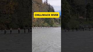 🇨🇦Chilliwack River [upl. by Ennahoj]