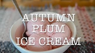 Autumn Plum Ice cream [upl. by Dalury608]