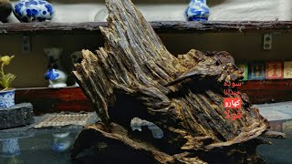 Greatest Agarwood from Malaysia [upl. by Annovy639]