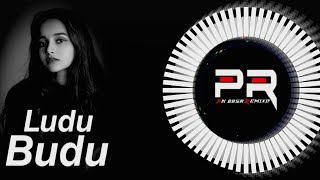 Ludu Budu New Circuit Mix Dj Rocky X Pk bbsr djs ll sambalpuri dj song ll DJ ROCKY NEW SONG ll [upl. by Siseneg]