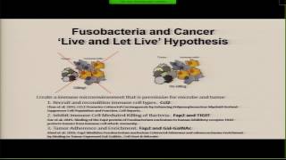 Wendy Garrett  Fusobacterium nucleatum and colorectal carcinogenesis [upl. by Grearson]