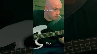 Pixies  Hey Bass Cover pixies hey doolittle basscover bass guitar rock [upl. by Neram]