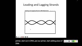 82 DNA Replication [upl. by Mcconnell238]