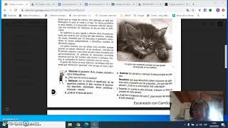 EXPLICACIÓN DE LA ACTIVIDAD DE TEXTO EXPOSITIVO quot EL GATO PURA SENSIBILIDADquot 1º [upl. by Shurlocke]