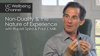 NonDuality and the Nature of Experience with Rupert Spira and Paul J Mills [upl. by Yddub]