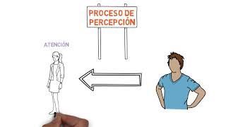 Sensación y Percepción [upl. by Simpson]