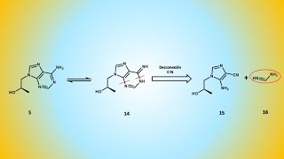 Tenofovir disoproxil antiviral vs VIH y VHB análisis retrosintético II [upl. by Riatsila]