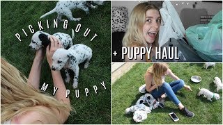 Picking Out My Dalmatian Puppy  Puppy Haul  Olivia Rena [upl. by Pierce25]