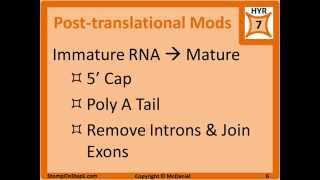 DNA Replication Transcription Translation DNA Polymerase III Topoisomerase RNA Polymerase [upl. by Chaffee]