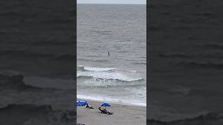 Guy Paddle Surfing in the Atlantic Ocean [upl. by Kashden]