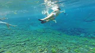 EL CRATER AZUL LAS CRUCES PETEN GUATEMALA [upl. by Andra]