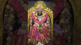 Kamatchi amman song friday devotionalsong yamunavijay [upl. by Bainbrudge884]