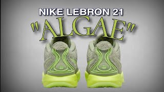 NIKE LEBRON 21 ALGAE 2024 DETAILED LOOK  PRICE [upl. by Haymo]