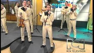 NI POR MIL PUÑADOS DE ORO RICARDO TORRES Y SU MARIACHI [upl. by Atrim151]