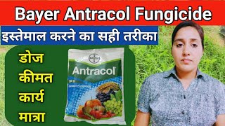 How to use antracol fungicide  Propineb 70wp  Antracol fungicide  bayer antracol fungicide uses [upl. by Naomi54]