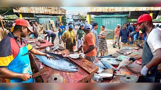 Wow Attractive Idyllic ULTIMATE FISH CUTTING COMPETITION MASTER FISH CUTTING SKILLS [upl. by Llehsal]