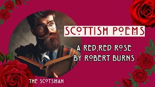 A Red Red Rose by Robert Burns  Scottish Poem reading unintentional ASMR [upl. by Arabele]