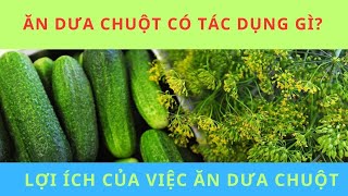 MỖI NGÀY ĂN 1 QUẢ DƯA CHUỘT CÓ TÁC DỤNG GÌ LỢI ÍCH CỦA VIỆC ĂN DƯA CHUỘT [upl. by Schear]