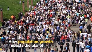 How population growth impacts the planet [upl. by Ssitnerp775]