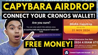 CAPYBARA AIRDROP I HOW TO CONNECT CRONOS WALLET IN CAPYBARA NATION FULL GUIDE [upl. by Docia]