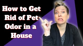 How to Get Rid of Pet Odor in a House [upl. by Alboran]