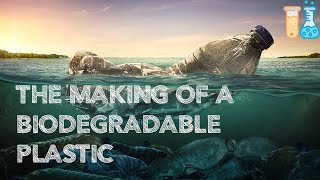 The Making of a Biodegradable Plastic [upl. by Syxela]