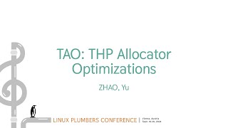 TAO THP Allocator Optimizations  ZHAO Yu [upl. by Seaton]