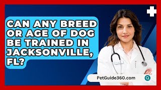 Can Any Breed or Age of Dog Be Trained in Jacksonville FL  PetGuide360com [upl. by Stallworth]