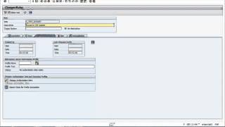 08 Roles and Authorizations in SAP [upl. by Armanda]