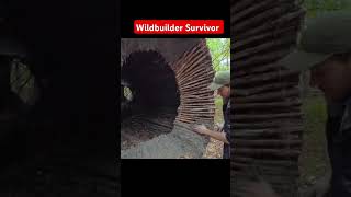 Wilderness Survivor short woodworking wildernesssurvival survival survivalskills [upl. by Gnof]