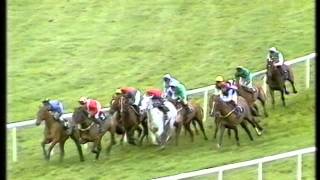 1989 Youngmans Long Walk Hurdle [upl. by Enna]