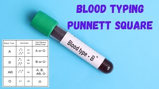 How to Predict Genetic Traits Punnett Squares Demystified [upl. by Murial]