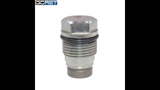 Common Rail Pressure Relief Valve 1110010013 For Cummins 4938005 8973716180 8973716180 97371618 [upl. by Nodnerb]