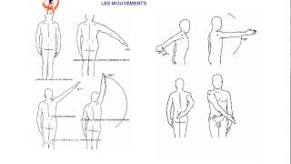 Examen clinique de lépaule [upl. by Katherine]