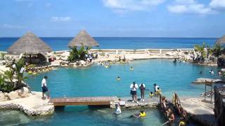 Dolphinaris in Cozumel Mexico [upl. by Mehs]