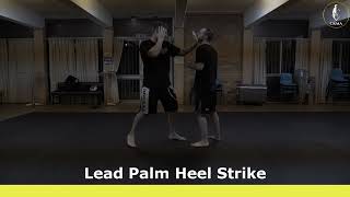 The Lead Palm Heel Strike in SelfDefence [upl. by Anauq865]