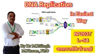 DNA Replication  Conservative Model  Biochemistry  BP203T  L54 [upl. by Ernestine632]